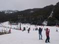 0806-1627 Thredbo (8060245)